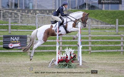 Mindful Riding: Tips to Cultivate a Positive Mindset in the Saddle